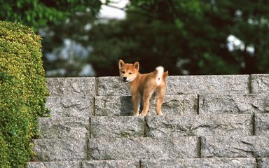 imToken钱包安卓版