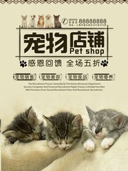 imToken钱包苹果版